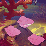 Oysters