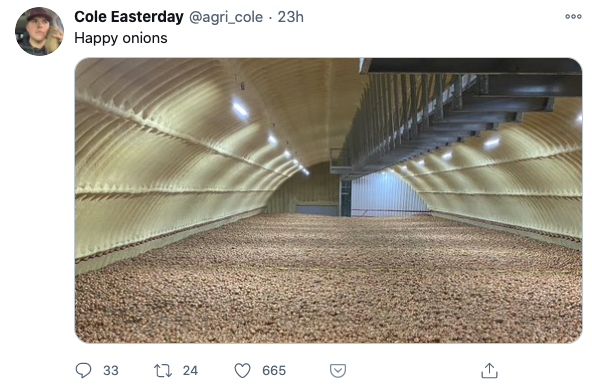 Onion Tweet